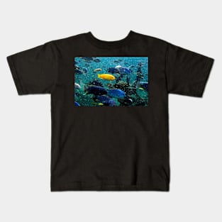 Where's Nemo? Kids T-Shirt